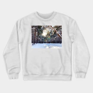 View at the Sormovsky Park in Nizhny Novgorod with sun, thicket, pine trees, foliage Crewneck Sweatshirt